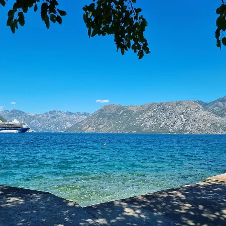 Studio On The Coast, With A View Of The Sunrise,Free We-Fi Kotor Buitenkant foto